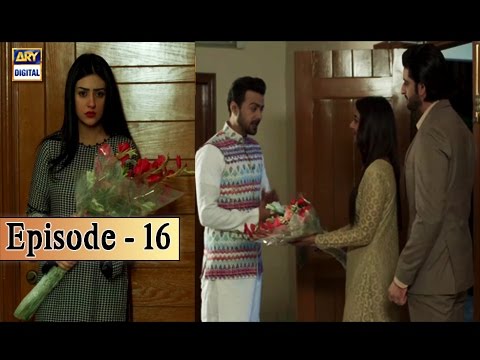 Tumhare Hain — Episode 16