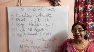 CLASS IV NCERT LOOKING AROUND CH - 14 BASVA