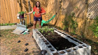 How to build a Concrete Block Garden! screenshot 3