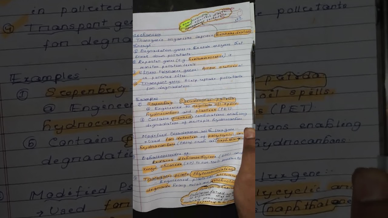 ROLE OF TRANSGENICS IN BIOREMEDIATION | SEMESTER 6 | BOTANY HONOURS |