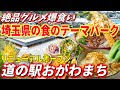 【道の駅おがわまち・リニューアルOPEN】埼玉一話題のグルメと魅力が詰まった道の駅!全店舗食べて正直レビュー!
