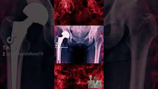 Gianluca Fellone-113