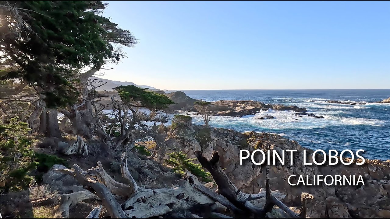 POINT LOBOS | MONTEREY COUNTY | CALIFORNIA | WALKING TOUR | DECEMBER 2024
