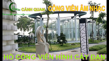 Cây đàn to khổng lồ nhất Hà Nội - Hồ cây đàn biệt thự đô nghĩa[ TÂN KIẾN LAND]