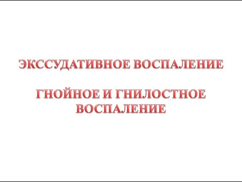 Видео: Влияние UPA / PAI-1 и диссеминированных цитокератин-позитивных клеток на рак молочной железы