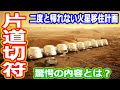 【ゆっくり解説】二度と帰れません!片道切符の火星移住 しくじり宇宙企業解説MarsOne編