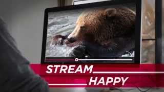 No Worries, Stream Happy!