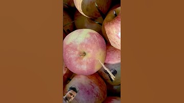 Apple & Arrow:The Loop. #superzoom #loop #art #infinite #relax #imagine #closeup #transition #macron