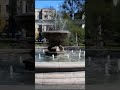 Фонтан в сквере Шиллера в 2016 году в Калининграде