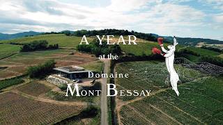 A YEAR AT THE DOMAINE MONT BESSAY - JULIENAS #6