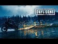 Days Gone | Былые деньки! (Первый раз)