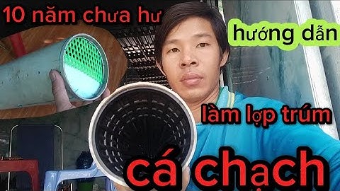 hướng dẫn làm lợp trúm đặc cá chạch sông, chạch đồng