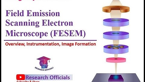 Field Emission Scanning Electron microscope: Overview, instrumentation & Imaging@Research Officials