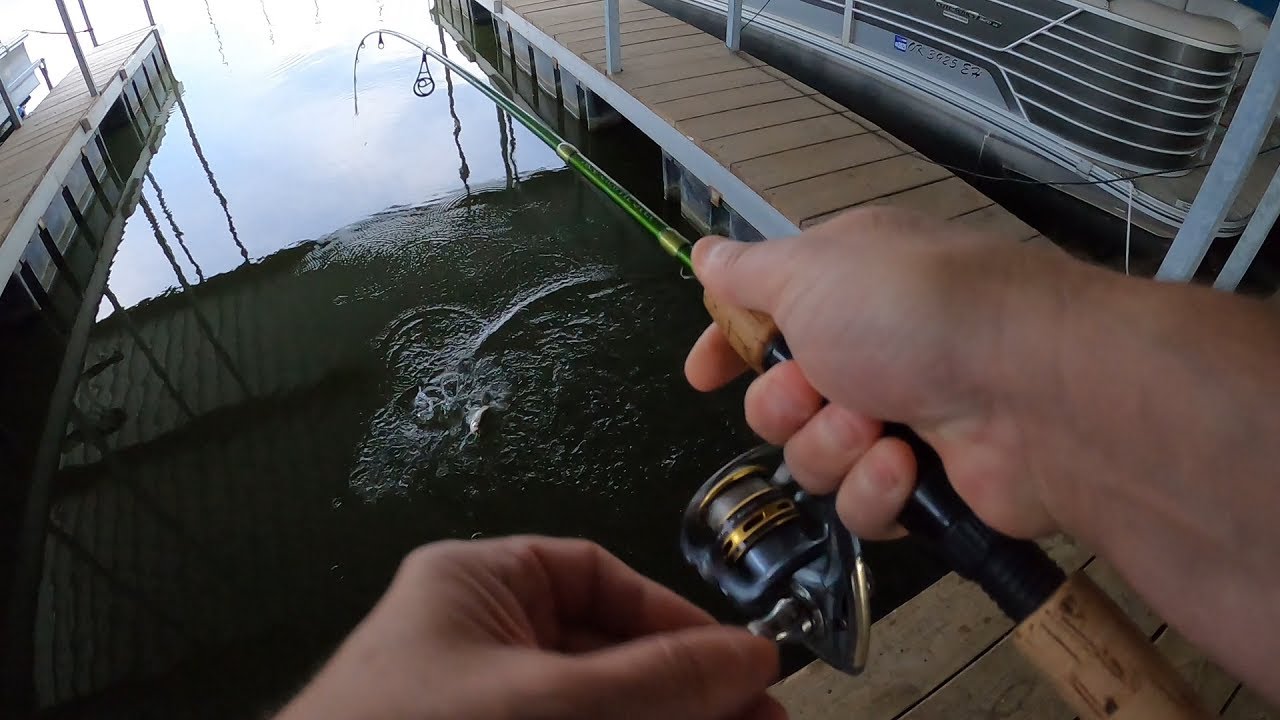 Fishermen Never Lie... Right?