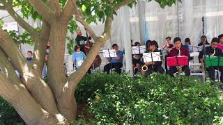 Harmony Project Luncheon jazz band - 2017