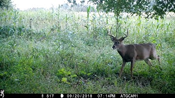 ScrapeFix Flat Out Works!