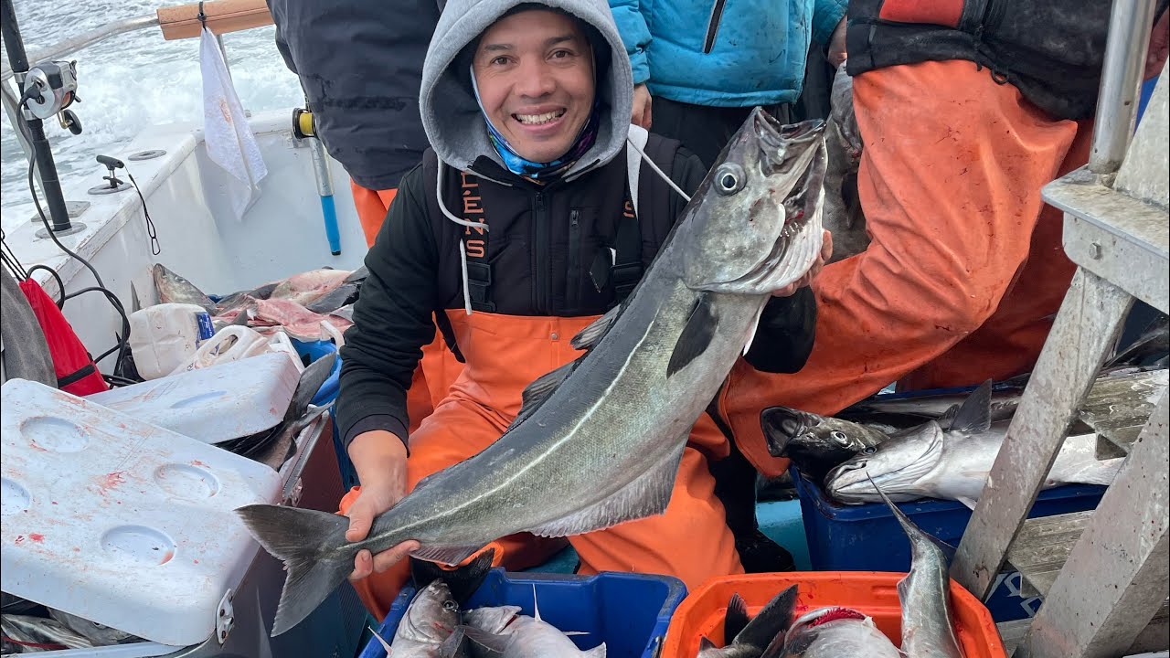 Excellent Pollock fishing - YouTube