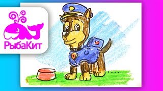 Как нарисовать Щенячий Патруль ГОНЩИК / How to draw Puppy Patrol Как нарисовать Щенячий Патруль ГОНЩИК / How to draw Puppy Patrol