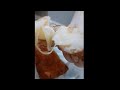 Massinha De Pão Frita Recheada Com Mussarela