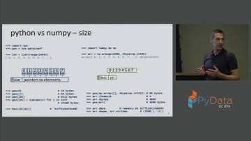 Stephen Simmons | Pandas from the Inside