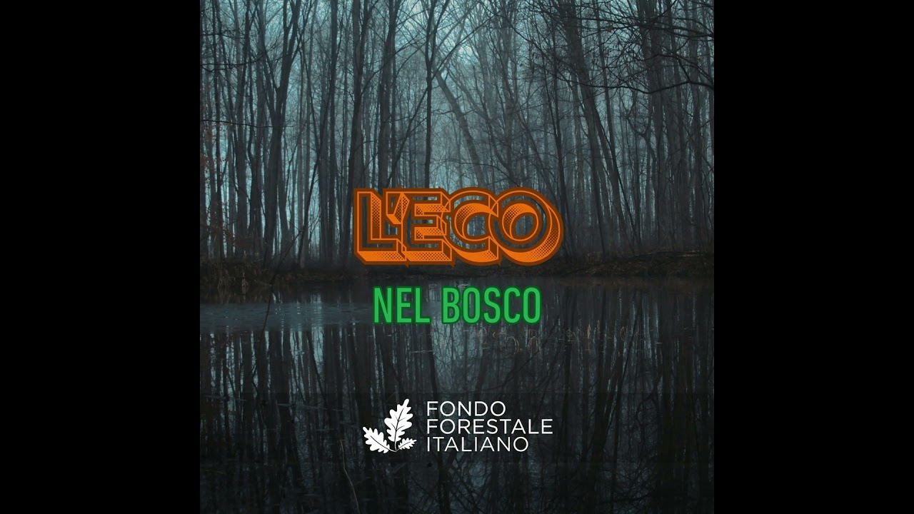 Episodio 2. Foreste ed economie: il valore invisibile dei boschi