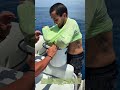 海に飛び込んで魚を捕る：伝統の技が生んだ驚きの一瞬