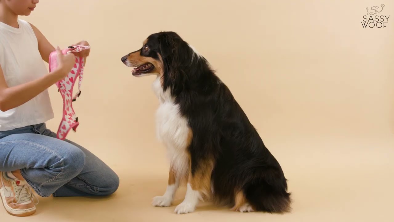 Dog Reversible Harness - One Hot Pupperoni | Sassy Woof Product