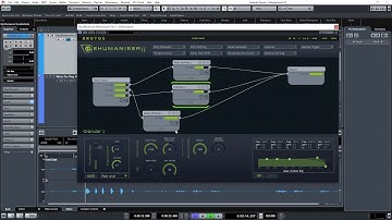 Torment and Dehumaniser 2