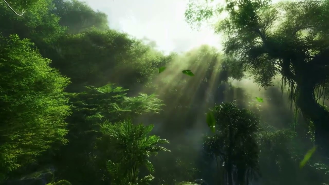 Musik Relaksasi Piano & Suara Sungai Mengalir | Menenangkan Hati dan Pikiran