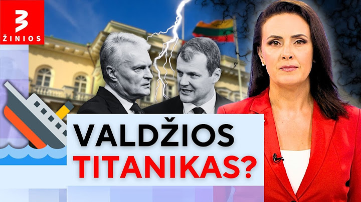 Paluckas aiškinasi dėl šešėlinių milijonų – Skvernelis kirto: politinė atsakomybė neišvengiama?