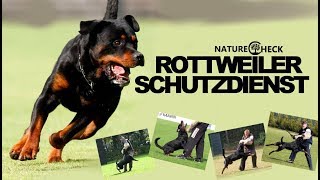 Schutzdienst  The German Rottweiler Sport