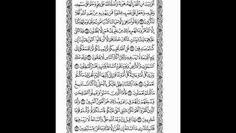 استمتع براحة القلب . ماهر المعيقلي سورة الجاثية