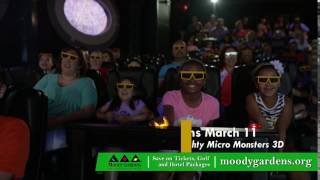 Spring Break at Moody Gardens Galveston Texas Discounts