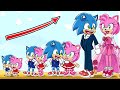 Baby Sonic and Baby Amy Rose Growing Up #3 - Baby Sonic Loves Baby Amy | Sonic Animation