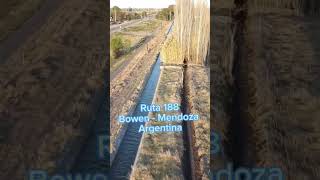 Bowen . Mendoza . "El Agua es Vida"