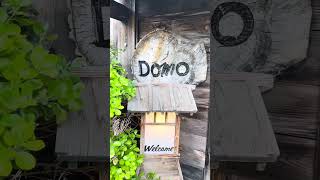 Domo Japanese Country Food Restaurant-near Downtown Denver