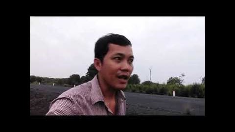 Thu hoạch tôm thiên nhiên..