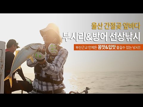 #부산근교#몸맛입맛최강#<strong>부시리낚시</strong> 여기는 간절곶 앞바다입니다!