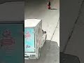 شاهد ماذا حدث للسيدة على طريق مصر اسكندرية الزراعي بمنطقة الروضة المنوفية Shortes شاهد ماذا حدث للسيدة على طريق مصر اسكندرية الزراعي بمنطقة الروضة المنوفية Shortes