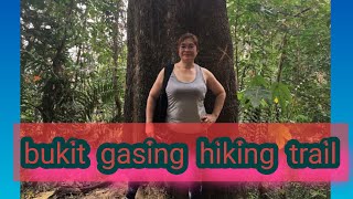 bukit gasing hiking trail