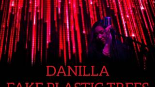 Video thumbnail of "fake plastic trees | danilla // lyrics"