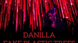 Vignette de la vidéo "fake plastic trees | danilla // lyrics"