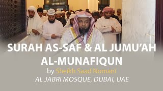 Surah AS SAF & AL JUMU'AH & AL MUNAFIQUN | Sheikh Saad Nomani Reacting the Qur'an in his own style