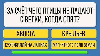 картинка: 10 правильных ответов — Вы настоящий эрудит