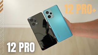 Xiaomi Redmi Note 12 Pro vs Note 12 Pro Plus  - Which Xiaomi is Best For You?