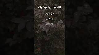 اللهم اني اعوذبك من الهم والحزن 💚🤲