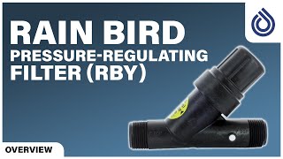Rain Bird Pressure-Regulating Filter (RBY) | SprinklerSupplyStore.com