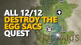 Destroy the Egg Sacs Hogwarts Legacy All 12/12