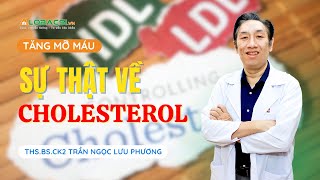 Tăng mỡ máu, sự thật nào về cholesterol chưa được vén màn? | ThS.BS.CK2 Trần Ngọc Lưu Phương