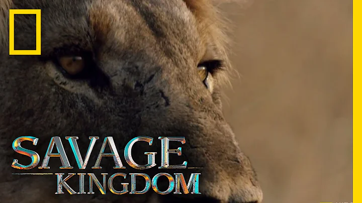 Matsumi: The New Queen | Savage Kingdom